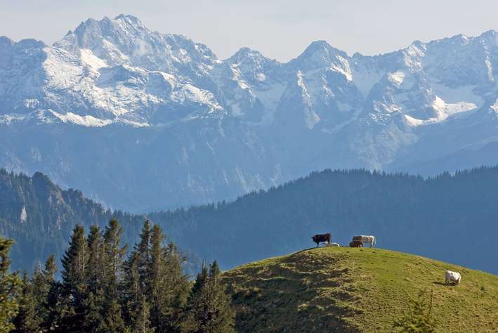 Bergpanorama der Bayerischen Alpen